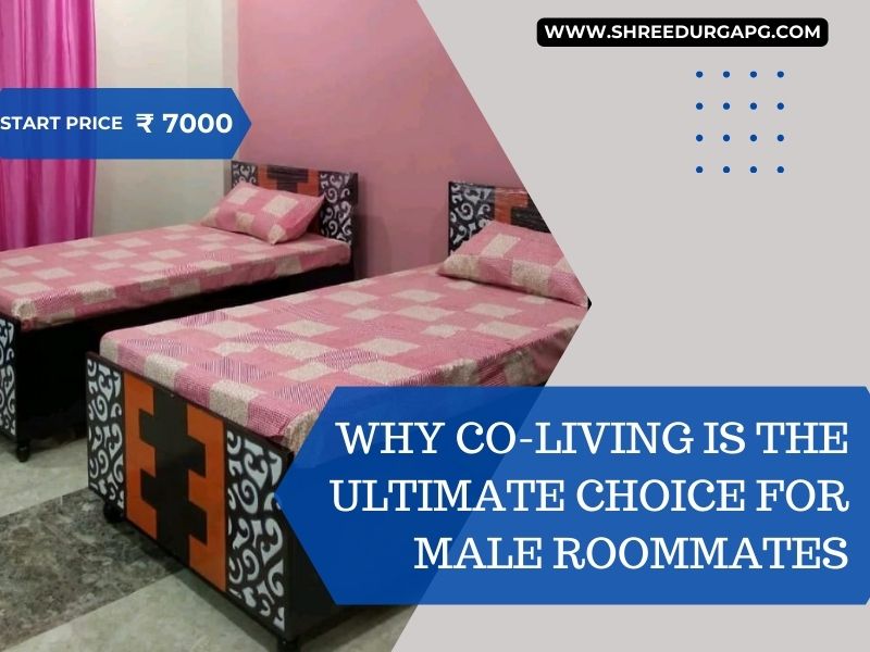 Best Coliving Pg in Gurgaon